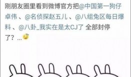 娱乐吃瓜大事件,揭秘年度最热吃瓜大事件