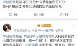 娱乐吃瓜网名大全男女生,男女明星个性网名大揭秘