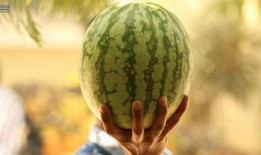 娱乐吃瓜大事件,揭秘年度最热吃瓜大事件