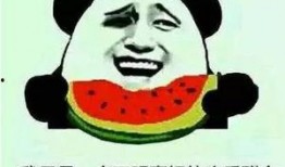 吃瓜群众另一种说法,揭秘“吃瓜群众”背后的真实故事