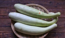 5.1吃瓜网官网,揭秘娱乐圈最新热点，带你畅游八卦海洋